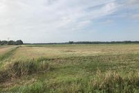 Land for sale in Acadia Parish, Louisiana