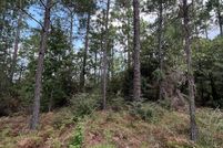 Land for sale in Jasper County, Texas