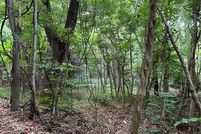 Undeveloped Land for sale in Newton County, Arkansas