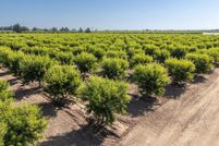 Land for sale in Sutter County, California