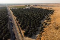 Land for sale in Kern County, California