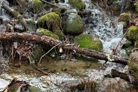 Farm and Ranch for sale in Orange County, New York