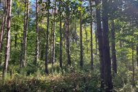 Land for sale in Saint Lawrence County, New York