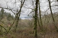 Land for sale in Clark County, Washington