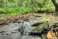 Land for sale in Fannin County, Georgia