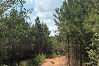 Undeveloped Land for sale in Chilton County, Alabama