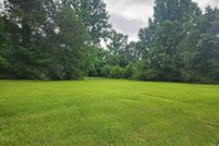 Undeveloped Land for sale in Bowie County, Texas