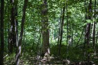 Land for sale in Waushara County, Wisconsin
