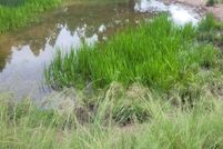 Undeveloped Land for sale in Otero County, New Mexico