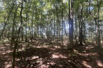 Land for sale in Coffee County, Alabama