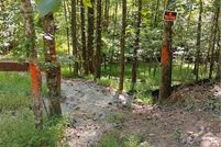 Land for sale in Gilmer County, Georgia