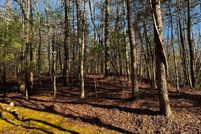 Land for sale in Gilmer County, Georgia