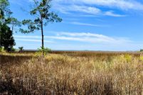 Land for sale in Camden County, Georgia