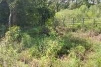 Hunting Property for sale in Okeechobee County, Florida