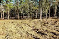 Undeveloped Land for sale in Baldwin County, Alabama