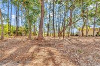 Land for sale in Georgetown County, South Carolina