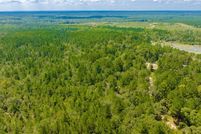 Undeveloped Land for sale in Washington County, Alabama