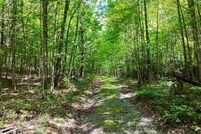 Land for sale in Smyth County, Virginia