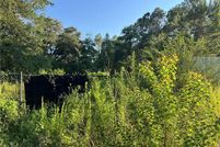 Land for sale in Saint Tammany Parish, Louisiana