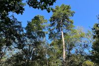 Land for sale in Nacogdoches County, Texas