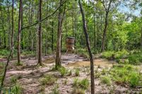 Land for sale in Jasper County, Texas