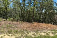 Homesite for sale in Citrus County, Florida