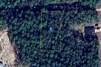 Undeveloped Land for sale in Walton County, Florida