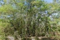 Land for sale in Citrus County, Florida