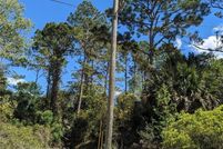 Undeveloped Land for sale in Flagler County, Florida