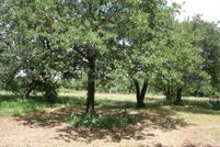 Land for sale in Palo Pinto County, Texas