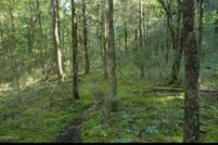 Land for sale in Marion County, Florida