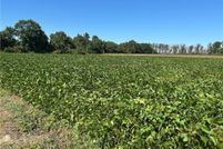 Undeveloped Land for sale in Hoke County, North Carolina