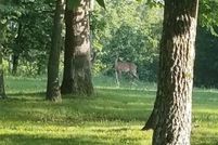 Land for sale in Morgan County, Missouri