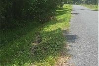 Homesite for sale in Osceola County, Florida