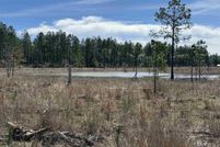 Undeveloped Land for sale in Baldwin County, Alabama