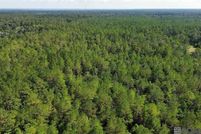 Land for sale in Livingston Parish, Louisiana