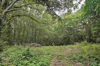 Undeveloped Land for sale in Rusk County, Texas