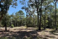 Land for sale in Dixie County, Florida