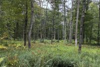 Homesite for sale in Wayne County, Pennsylvania