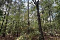 Land for sale in Tuscaloosa County, Alabama