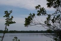 Land for sale in Lowndes County, Georgia