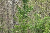 Farm and Ranch for sale in Floyd County, Indiana