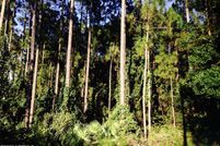 Farm and Ranch for sale in Duval County, Florida