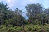 Land for sale in Hawaii County, Hawaii