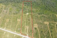 Land for sale in Calhoun County, Florida