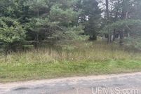Land for sale in Delta County, Michigan