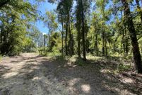 Undeveloped Land for sale in Jefferson County, Florida