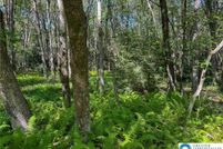 Homesite for sale in Carbon County, Pennsylvania