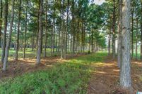 Undeveloped Land for sale in Chilton County, Alabama