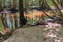 Land for sale in Barnwell County, South Carolina